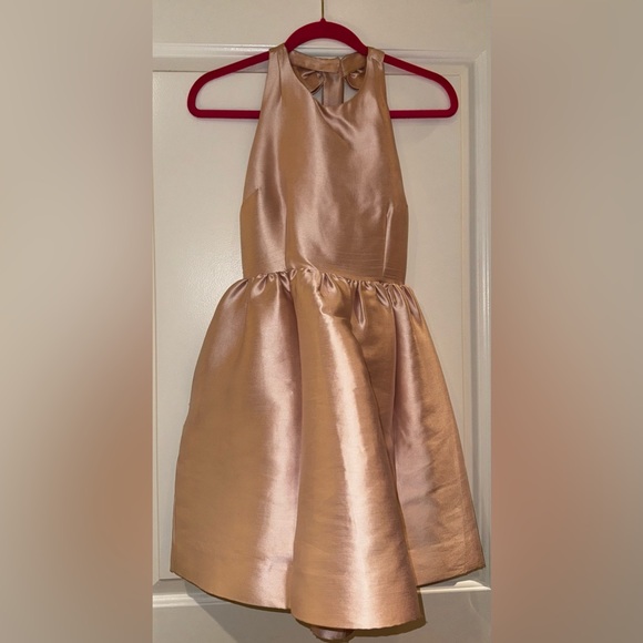 KATE SPADE Bow Back Fit and Flare Dress in Blush Pink - Picture 5 of 10